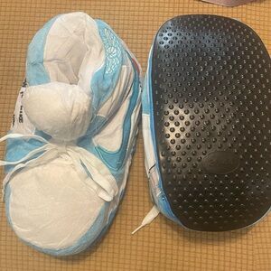 Nike Air Jordan Blue and White Slippers